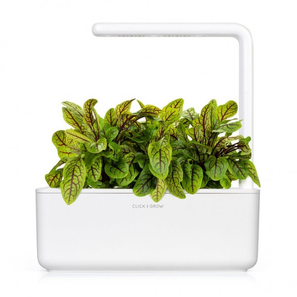 Click and Grow Smart Garden Refill 3-pakke - Skogsskräppa