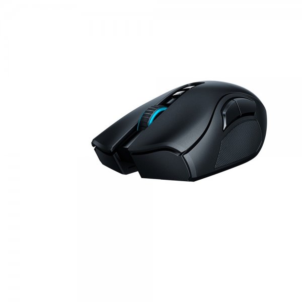 Razer Naga Pro Wireless Gaming Mouse