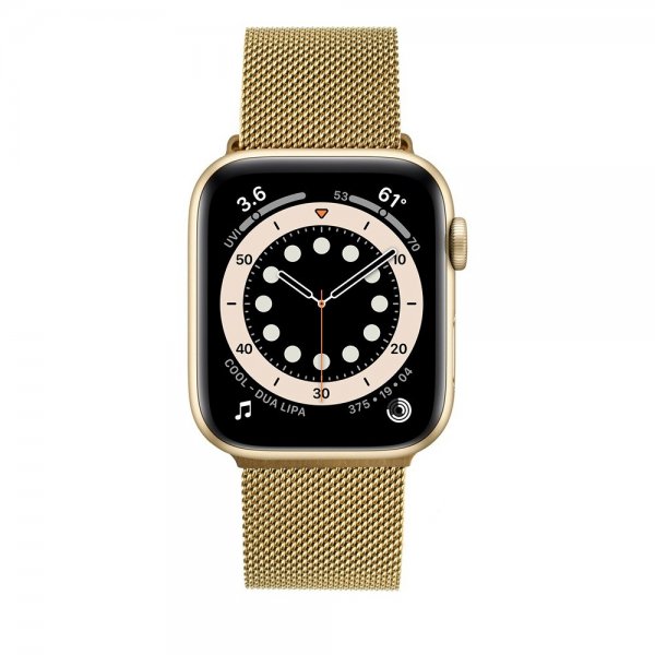 Fixed Apple Watch 38/40/41/42mm Armbånd Mesh Strap Gull