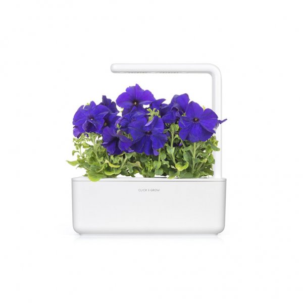 Click and Grow Smart Garden Fornyelse 3-pakning - Blå Petunia