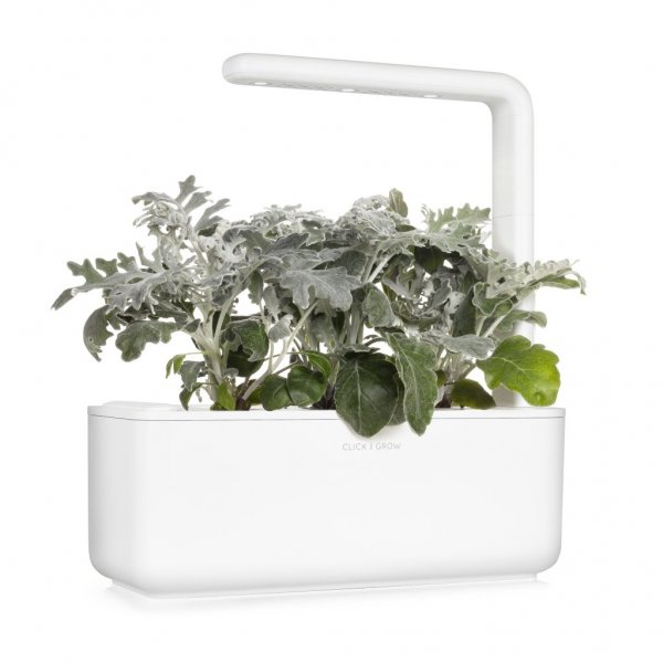 Click and Grow Smart Garden Refill 3-pack - Sølvrekke