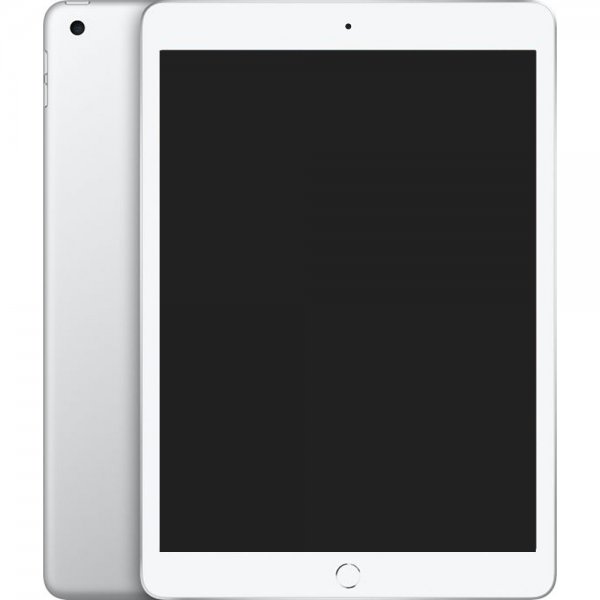 Begagnad Apple iPad 10.2 (gen 7) Grå 32GB Nyskick