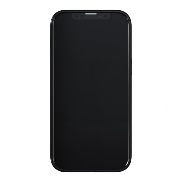 Richmond & Finch iPhone 13 Pro Max Deksel Amber Cheetah