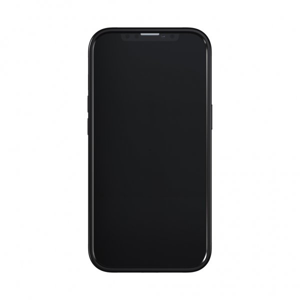 Richmond & Finch iPhone 13 Pro Deksel Emerald Zebra