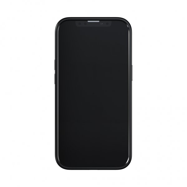 Richmond & Finch iPhone 13 Deksel Emerald Zebra
