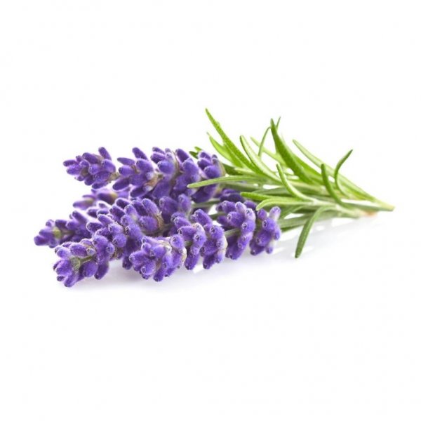 Click and Grow Smart Garden Refill 3-pakke - Lavendel