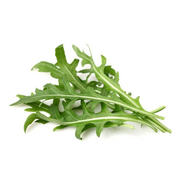 Click and Grow Smart Garden Refill 3-pack - Blad sennep