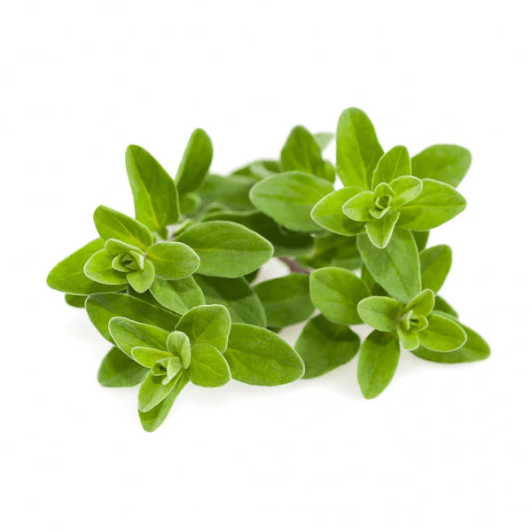 Click and Grow Smart Garden Refill 3-pakk - Merian