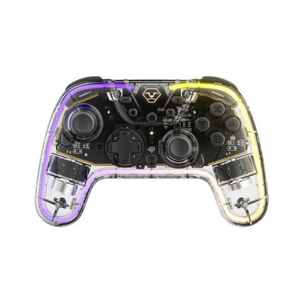 Aolion Nintendo Switch Controller Transparent RGB