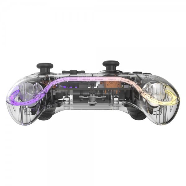 Aolion Nintendo Switch Controller Transparent RGB