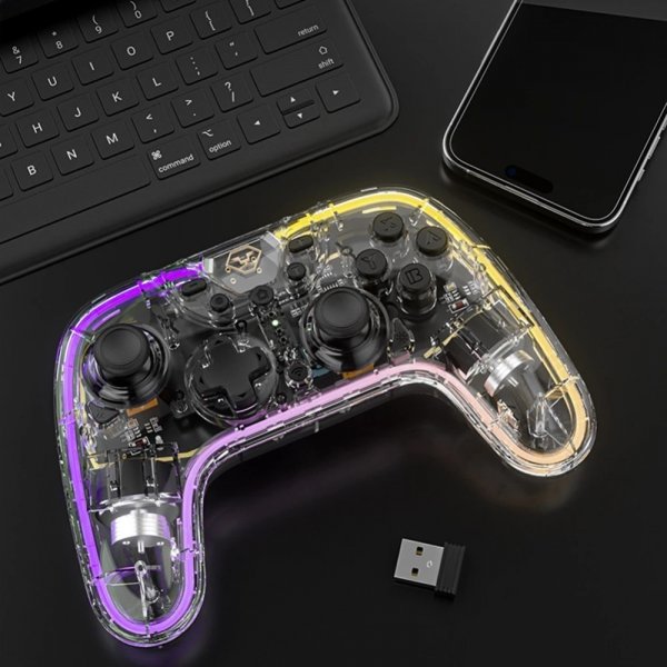 Aolion Nintendo Switch Controller Transparent RGB