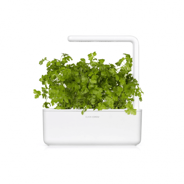 Click and Grow Smart Garden Refill 3-pakk - Persille
