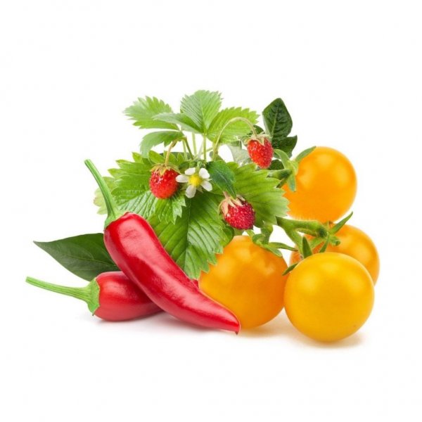 Click and Grow Smart Garden Refill 9-pakning Frukt og grønnsaksmiks