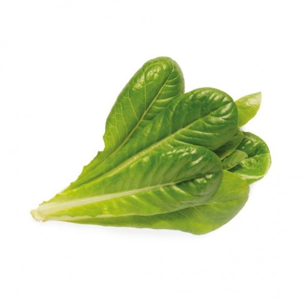 Click and Grow Smart Garden Refill 3-pakke - Romanosalat