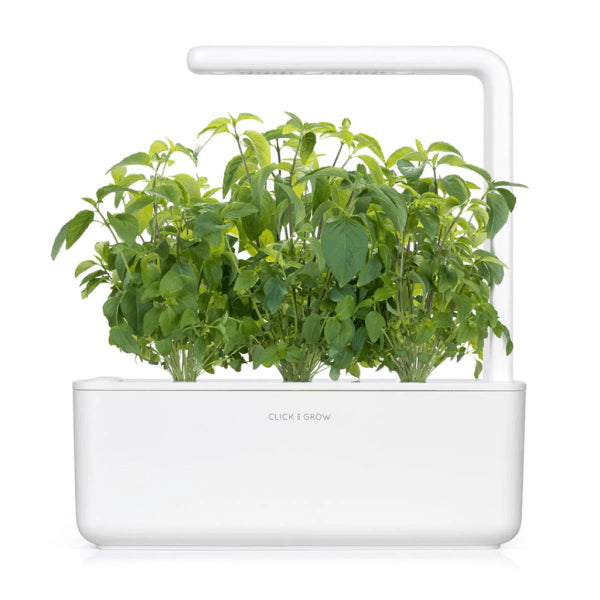 Click and Grow Smart Garden Refill 3-pack - Thai basilikum