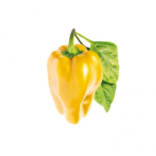 Click and Grow Smart Garden Refill 3-pakning - Gul paprika