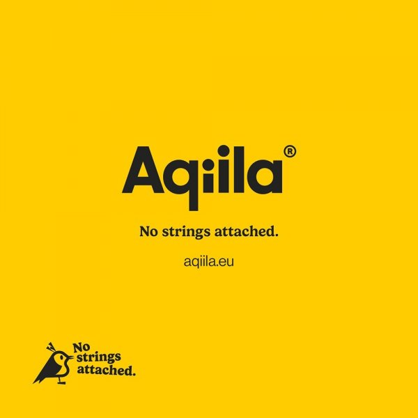 Aqiila Tracker Tagbird Key Ring 4-pakning