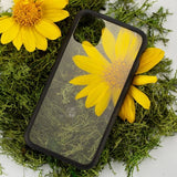 Pela iPhone 11 Skal Eco Friendly Clear Svart