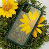 Pela iPhone 11 Pro Skal Eco Friendly Clear Grön
