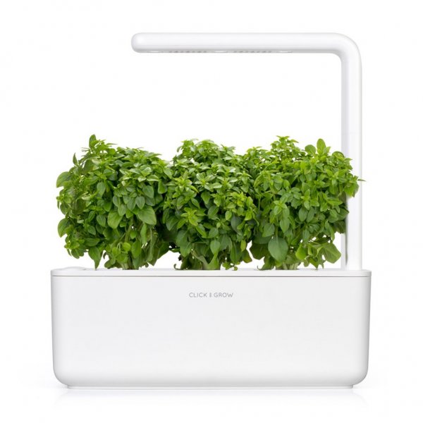 Click and Grow Smart Garden Refill 3-pakke - Finbladet Basilikum