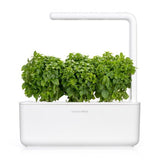 Click and Grow Smart Garden Refill 3-pakke - Finbladet Basilikum