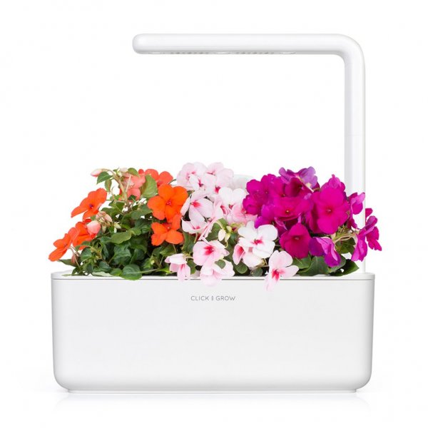 Click and Grow Smart Garden Tilfyllingspakke 3-pakning - Flitiga Lisa