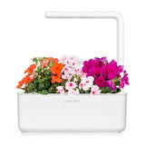 Click and Grow Smart Garden Tilfyllingspakke 3-pakning - Flitiga Lisa