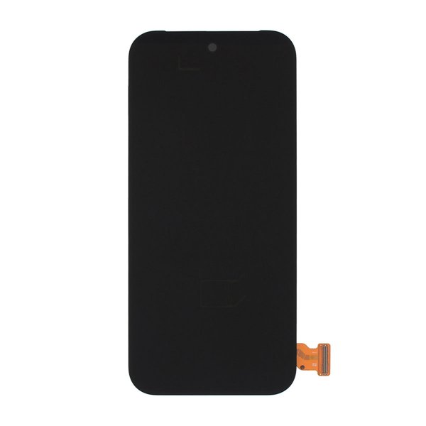 Google Google Pixel 9 Pro Display