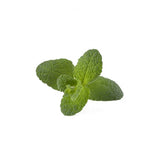 Click and Grow Smart Garden Refill 3-pakning - Rundmynte