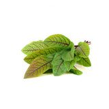 Click and Grow Smart Garden Refill 3-pakke - Skogsskräppa