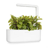 Click and Grow Smart Garden Refill 3-pakke - Skogsskräppa