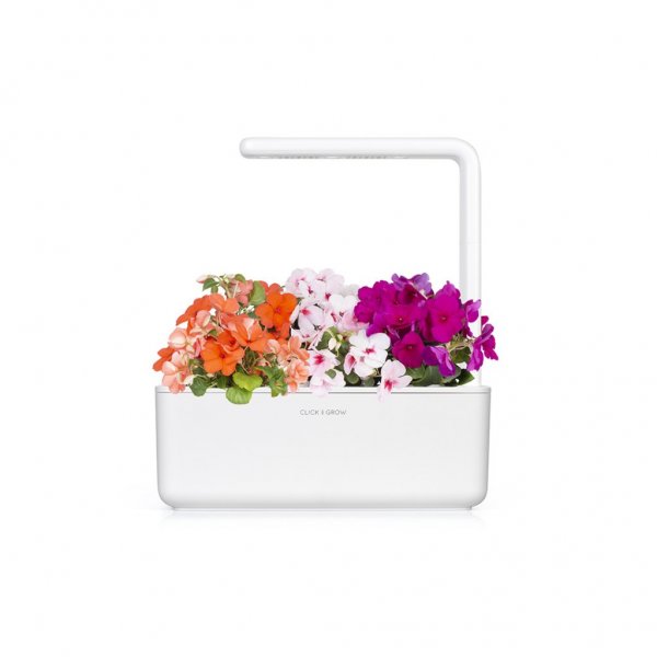 Click and Grow Smart Garden Tilfyllingspakke 3-pakning - Flitiga Lisa