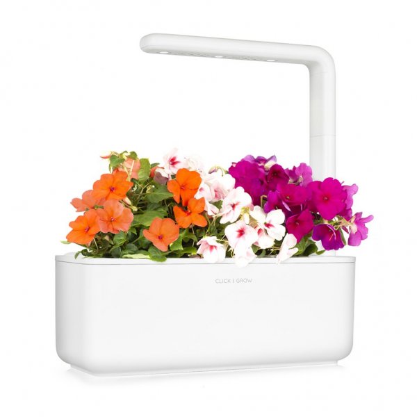 Click and Grow Smart Garden Tilfyllingspakke 3-pakning - Flitiga Lisa
