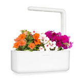 Click and Grow Smart Garden Tilfyllingspakke 3-pakning - Flitiga Lisa