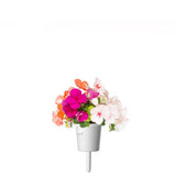 Click and Grow Smart Garden Tilfyllingspakke 3-pakning - Flitiga Lisa