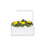 Click and Grow Smart Garden Refill 3-pakke - Ringblomst