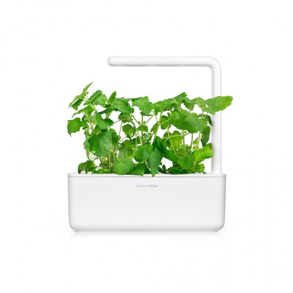 Click and Grow Smart Garden Refill 3-pakning - Kattmynte