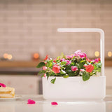 Click and Grow Smart Garden 3 Startkit - Hvit