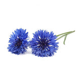 Click and Grow Smart Garden Refill 3-pakke - Blåklokke