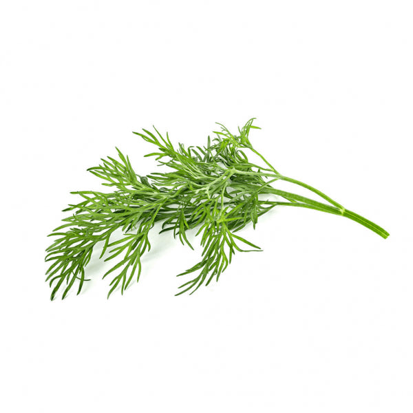 Click and Grow Smart Garden Refill 3-pakke - Dill