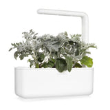 Click and Grow Smart Garden Refill 3-pack - Sølvrekke