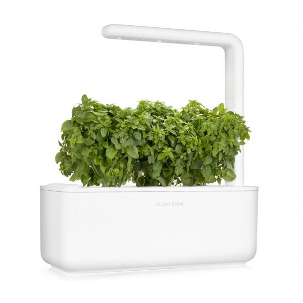 Click and Grow Smart Garden Refill 3-pakke - Finbladet Basilikum