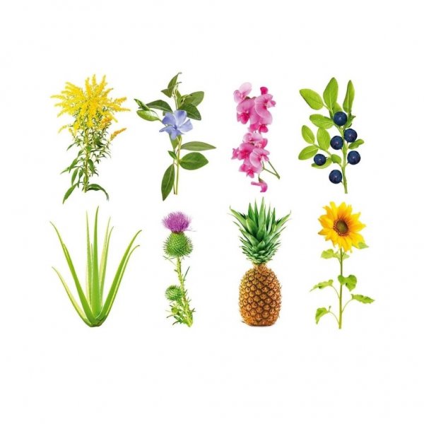 Click and Grow Smart Garden Refill 3-pakke – Eksperimentell