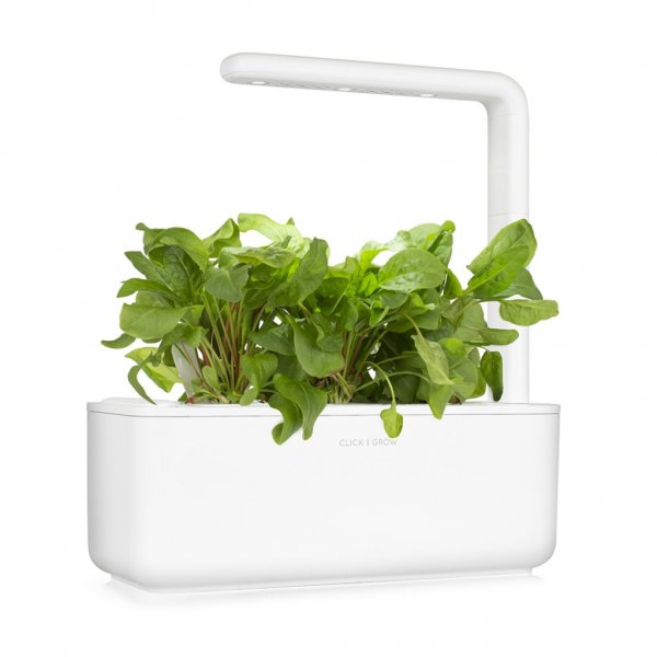 Click and Grow Smart Garden Refill 3-pack - Grønn sorrel
