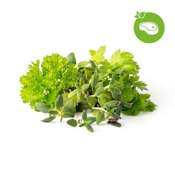 Click and Grow Smart Garden Refill 9-pakke Grill- og Steak-miks
