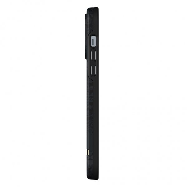 Richmond & Finch iPhone 13 Pro Max Deksel Black Tiger