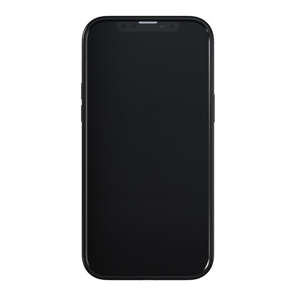 Richmond & Finch iPhone 13 Pro Max Deksel Zebra