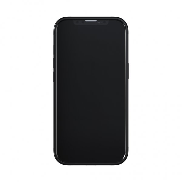 Richmond & Finch iPhone 13 Pro Deksel Black Marble