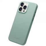 Qialino iPhone 15 Pro Max Deksel Kunstlæder MagSafe Grønn
