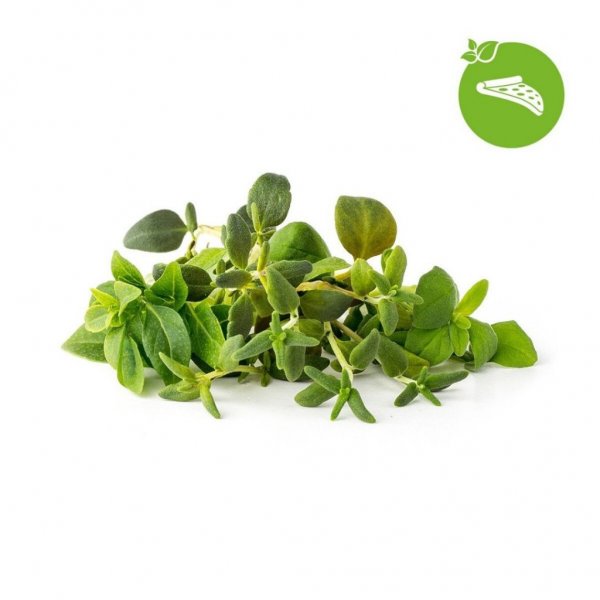 Click and Grow Smart Garden Refill 9-pack Italienske urter